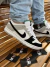 Dunk Low - comprar online