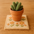 Cuadrado Plastic Canvas CM-17 - comprar online