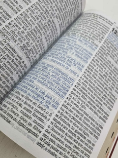 Bíblia Capa Clássica Leão Marrom- Letra Hiper Gigante c/ índíce na internet