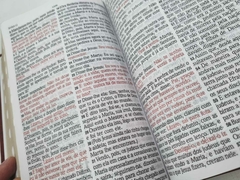 Bíblia Capa Clássica Leão Marrom- Letra Hiper Gigante c/ índíce - Scripturae