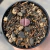 Lithops Color 6