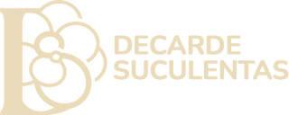 Suculentas Decarde