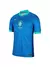 Camisa do Brasil 2024 Azul