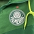 Corta Vento Palmeiras 2023 na internet