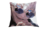 Almohada Satoru Gojo