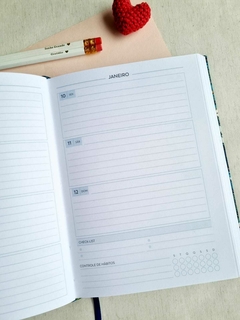 Planner Joaninha 2025 - comprar online