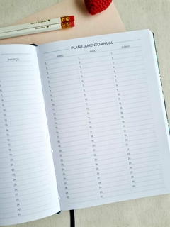 Planner - Bons Planos 2025 (fundo verde)