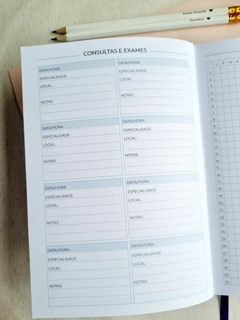 Planner - Bons Planos 2025 (fundo verde) na internet