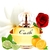 Cash Woman La Rive - Eau de Parfum - Perfume Feminino 90ml - loja online