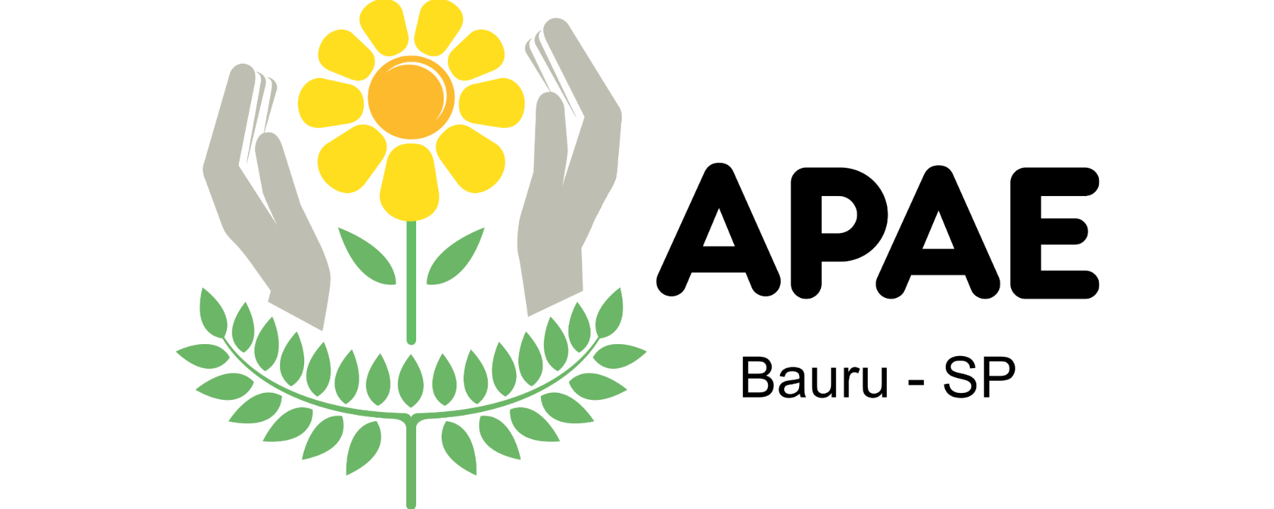 Apae Bauru