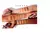 Corretivo Facial Stick Cover Fran By Franciny Ehlke C-01 - comprar online