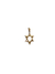 Pingente Estrela de Davi - comprar online