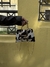 Bolsa Zoe Cow Print Black