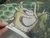 TNT Estampado Supper Dinossauros Metro - Presente com Carinho