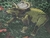 TNT Estampado Supper Dinossauros Metro - loja online