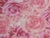 TNT Estampado Mewi Painel Floral Rosa Metro na internet
