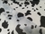 Imagem do TNT Estampado Mewi Animal Preto e Branco, Vaca, Dálmata Metro