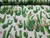 TNT Estampado Mewi Cacto Metro - comprar online