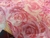 TNT Estampado Mewi Painel Floral Rosa Metro - Presente com Carinho