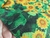 Imagem do TNT Estampado Mewi Flores do Sol Girassol Metro