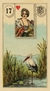 ORACULO DE CARTOMANCIA. MADAMME LENORMAND LO SCARABEO (limited edition) - comprar online