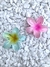 Flor Jasmim - comprar online