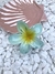 Flor Jasmim