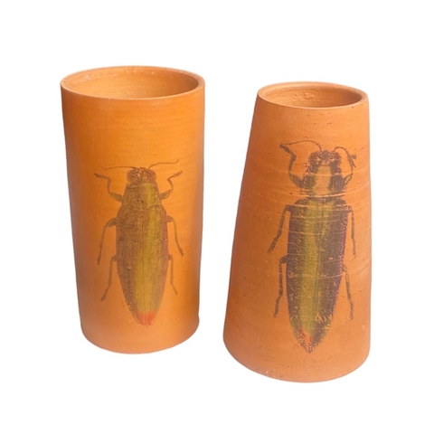 Vasos Decorativos - Insetos