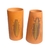 Vasos Decorativos - Insetos