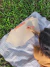 Bloco A4 Pautado Laranja Solar - Coleção hab. | HAB CONCEITO - loja online
