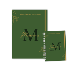 Kit caderneta Gestante + pasta Catálogo para Documentos - CAPA 02 - comprar online