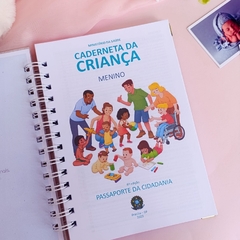 Pipa- capa 112 na internet