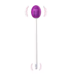 Ponteira Vibratória e Bullet - 2 em 1 Duplo Motor 20 Modos de Vibração - Recarregável