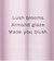 Victoria’s Secret Body Spalsh Velvet Petals 250ml - comprar online