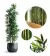Planta artificial bambu