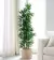 Planta artificial bambu - comprar online