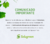 Solugreen Multinseticida Biorgânico 5 Litros na internet