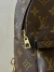 Imagem do MOCHILA LOUIS VUITTON PALM SPRINGS MINI