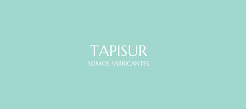 Carrusel Tapisur