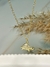 Collar Turttle - comprar online