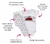 Conjunto Body Mijão Borboleta - Doce Sonho Moda Bebê 