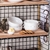 Conjunto de 6 Tigelas Consommé com Alça 13cm/400ml Porcelana - Oxford - comprar online