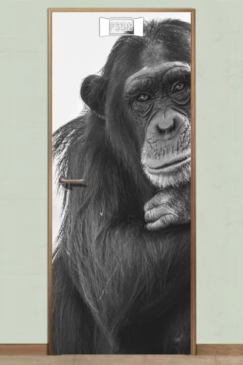 Puertas ANIMALES - DecoZone