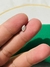 PIERCING TRAGUS NAVETE ZIRCONIA