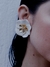 Flowers Collection na internet