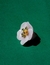Flowers Collection - loja online