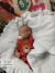 Bebe Reborn Levi