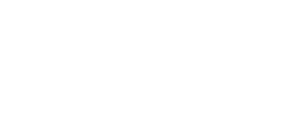 Traveler