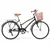 R26 | OLMO AMELIE RAPIDE 6V | NEGRO