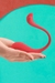 Vibrador Ponto G E Clitóris Massageador Controle App a Distância